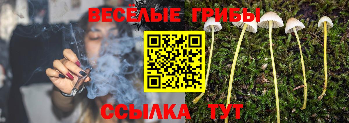 Псилоцибиновые грибы прущие грибы Рославль