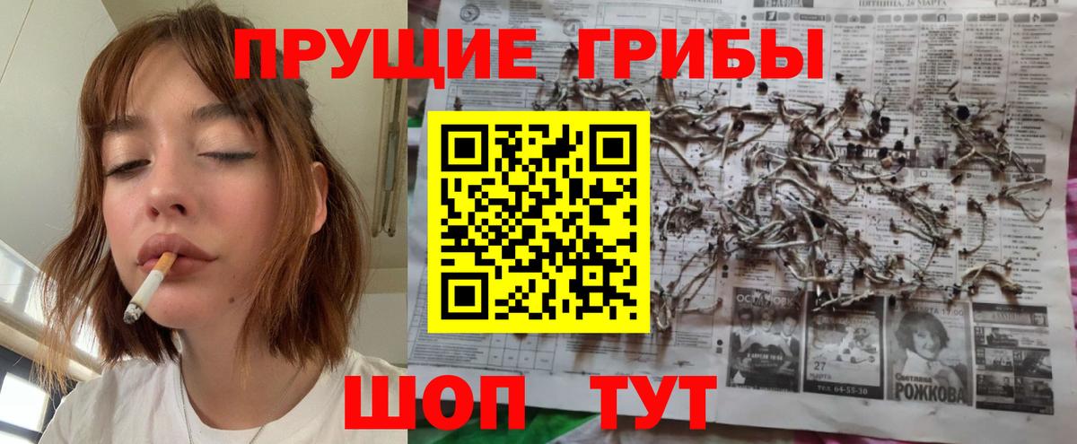 продажа наркотиков  Галлюциногенные грибы мицелий  Вход с VPN  Рославль 